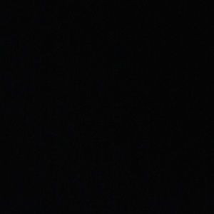 Meet your Posher, Gracie