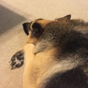 Meet your Posher, Renae