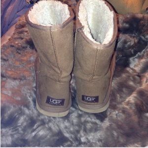 chesnut colored UGGS