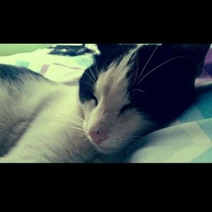 Meet your Posher, Primerose