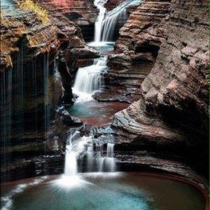 Meet your Posher, Holly