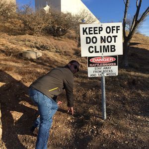 Meet your Posher, Thomas