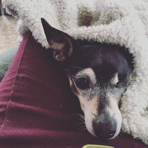 Meet your Posher, Kirsten