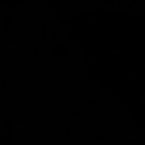 Meet your Posher, Bridgette