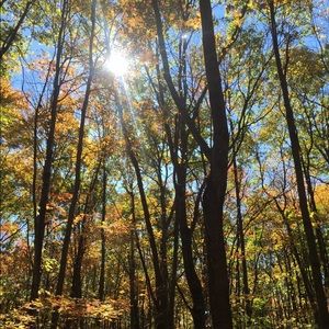 Meet your Posher, Adele