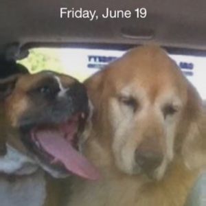 Meet your Posher, Nancy