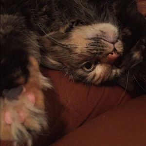 Meet your Posher, Katie