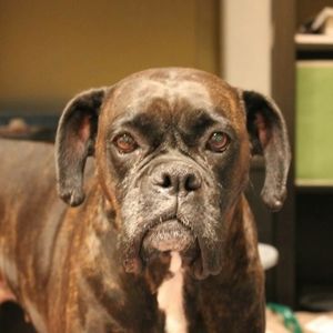 Meet your Posher, Beth