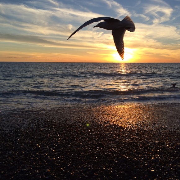 Meet your Posher, Karyn