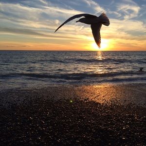 Meet your Posher, Karyn