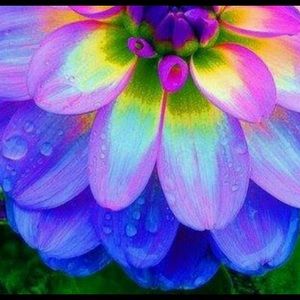 Meet your Posher, Talent