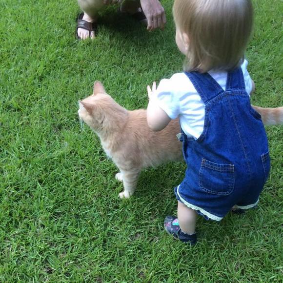 Meet your Posher, Melissa