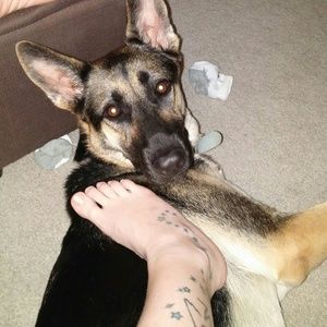 Meet your Posher, Megan