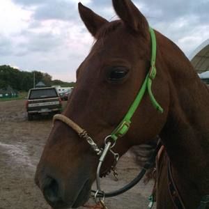 Meet your Posher, Martha