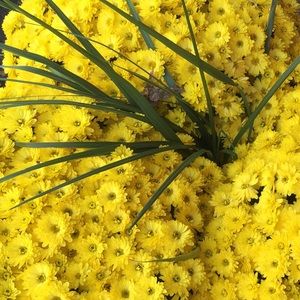 Meet your Posher, Ganna