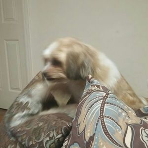 Meet your Posher, Elisha