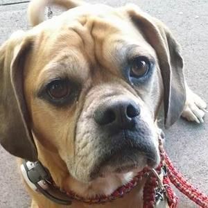 Meet your Posher, Penelope