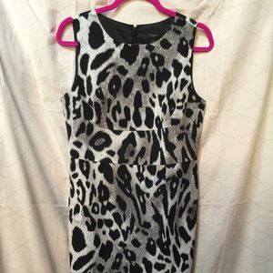 Ann taylor animal print dress