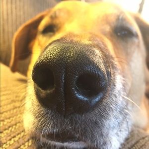 Meet your Posher, Katelyn