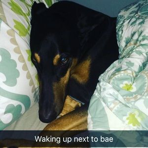 Meet your Posher, Lauren