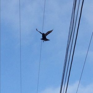 Meet your Posher, Yu