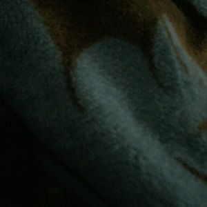 Meet your Posher, Dani