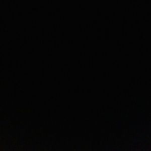 Meet your Posher, Evelyn