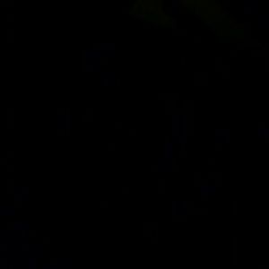 Meet your Posher, Cherene