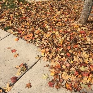 Meet your Posher, Annsomers