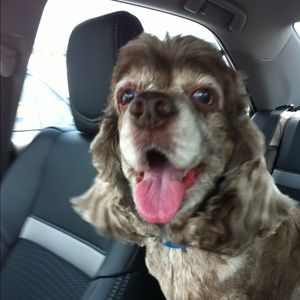 Meet your Posher, Stacy