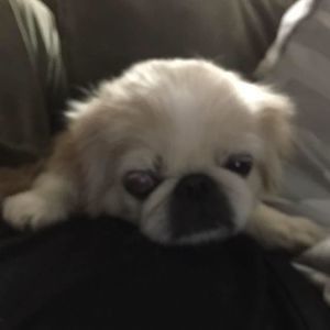 Meet your Posher, Matt