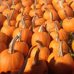 Meet your Posher, Gillian