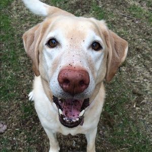 Meet your Posher, Heather