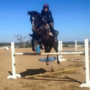 Meet your Posher, Shelley