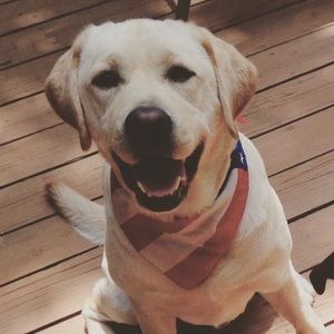 Meet your Posher, Morgan