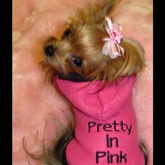 Meet your Posher, Anne