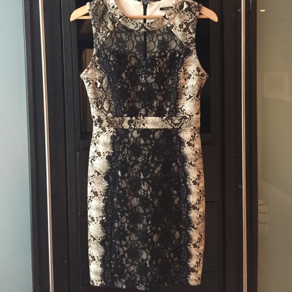 Fall dress animal print with lace