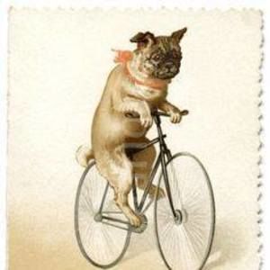 Meet your Posher, Joel