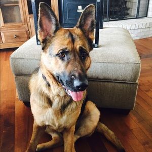 Meet your Posher, Kay