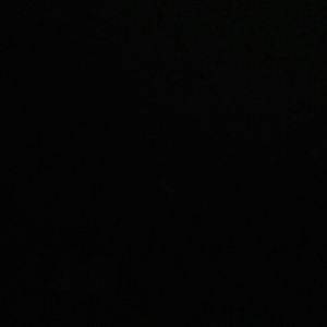 Meet your Posher, Rosa