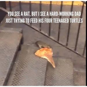 Meet your Posher, Jason