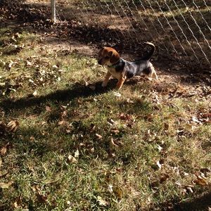 Meet your Posher, Tressa