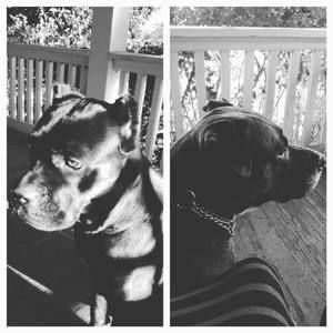 Meet your Posher, Candice