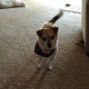 Meet your Posher, Sarah