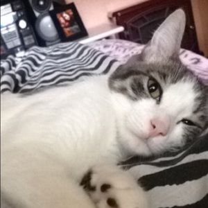 Meet your Posher, Taylor