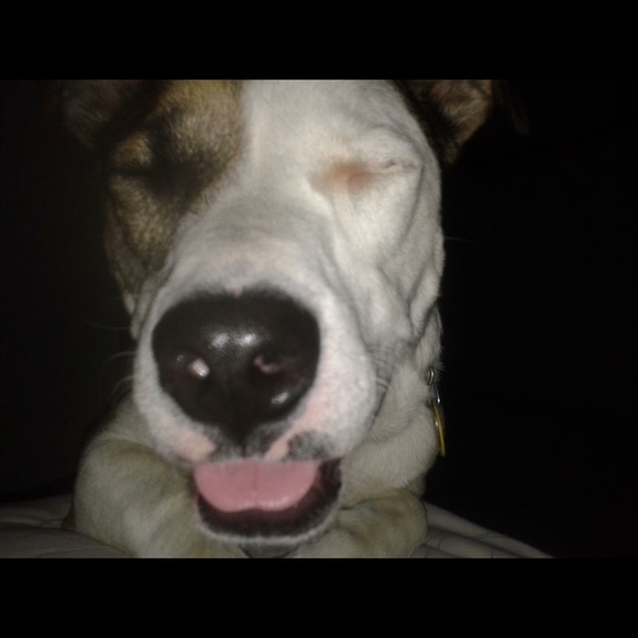 Meet your Posher, Felicia