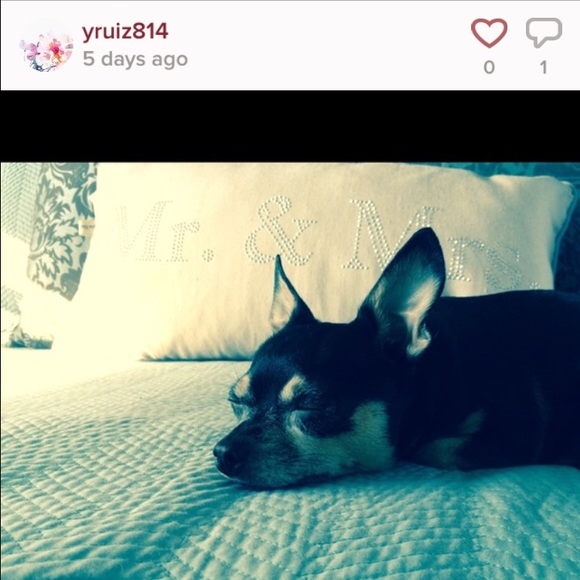 FOLLOW YRUIZ814
