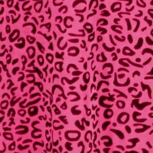 Meet your Posher, Katrina