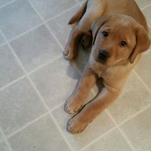 Meet your Posher, Kristin