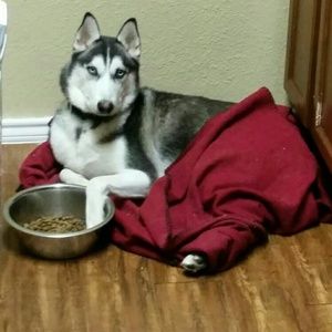 Meet your Posher, Iilia